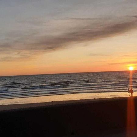 Seaview Paradise 1-Bed Apartment Barmouth Extérieur photo